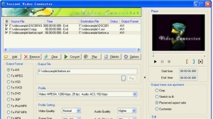 Torrent Video Converter