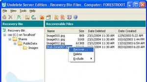 Undelete Server