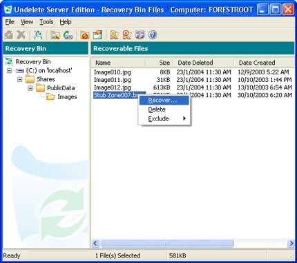 Server edition. Executive Undelete Server Edition. Execute software Undelete. Undelete – служебной программы dos;. Anzeli4e4ka Undelete.