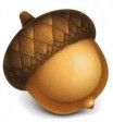 Acorn