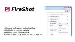 Fireshot for Chrome