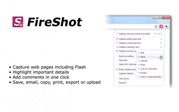 Fireshot for Chrome