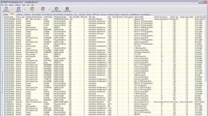 Newt Professional Ekran Goruntusu - Scan Result