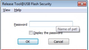 USB Flash Security