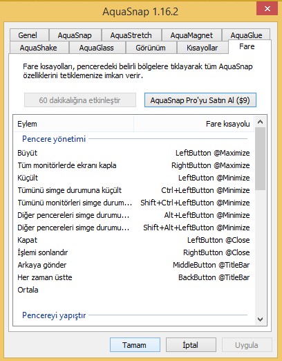 AquaSnap Ekran 3