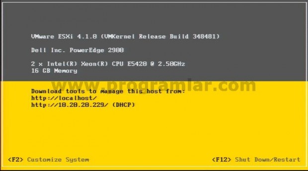 Vmware ESXi 4.1 Kurulumu