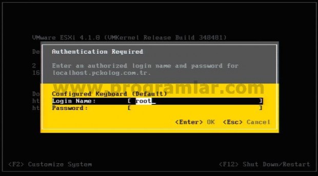 Vmware ESXi 4.1 Kurulumu