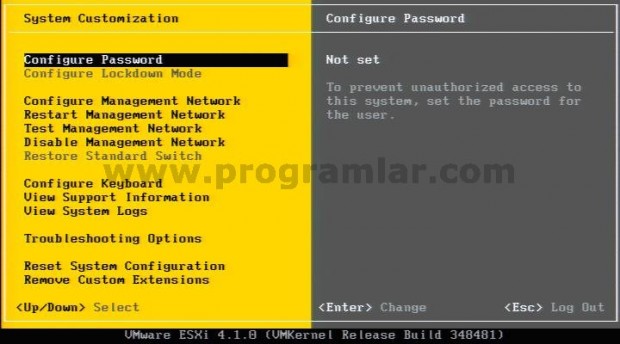 Vmware ESXi 4.1 Kurulumu
