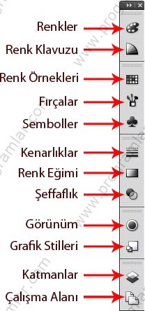 Adobe Illustrator  e Giriş