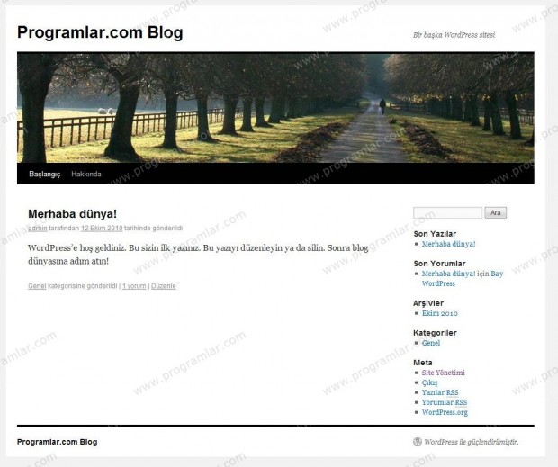 Wordpress 3.0.1 Kurulumu