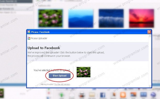 Picasa Uploader ile Facebook  a resim yükleme