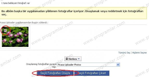 Picasa Uploader ile Facebook  a resim yükleme