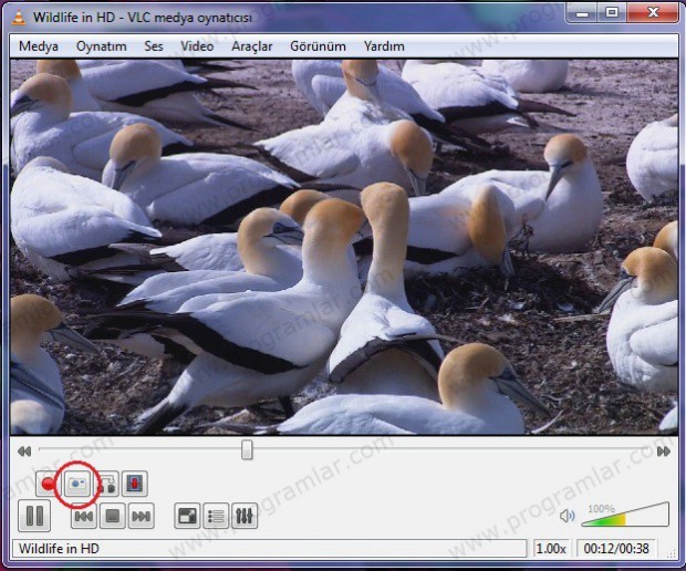 VLV Player ile videodan görüntü alma