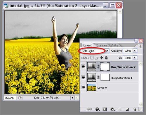 Fotoğrafta Seçili Alana Sepya Efekti Uygulamak