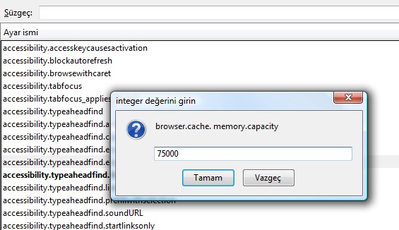 Firefox Bellek Ayarlama -değer girme