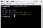 Linux'da root hesabını aktif etmek