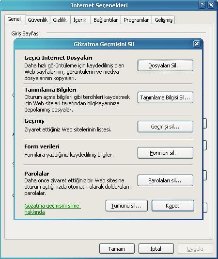 Internet Explorer Özel Veri Temizleme Ekrancığı