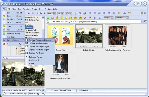 FastStone Image Viewer 3.5