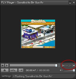 FLV Player 2.0.25