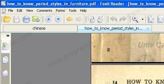 Alternatif PDF Programı Foxit Reader