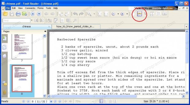 Alternatif PDF Programı Foxit Reader 4