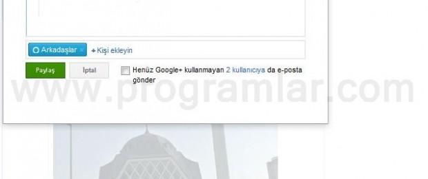 Google+ İncelmesi
