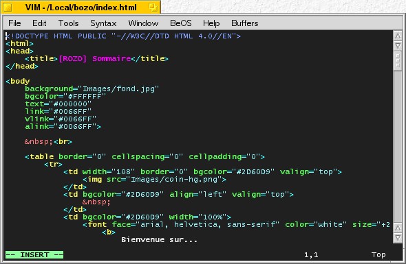 Vim