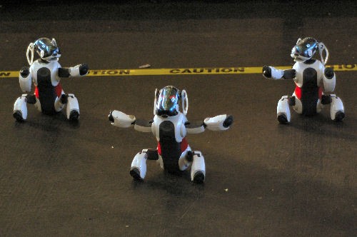  RoboGames 2010  için geri sayım başladı (Video)