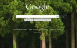 Google'dan Bing'e cevap