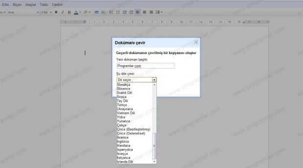 Google Docs  ta çeviri dönemi