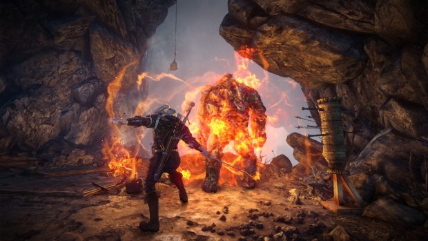 Witcher 2 ekran görüntüsü