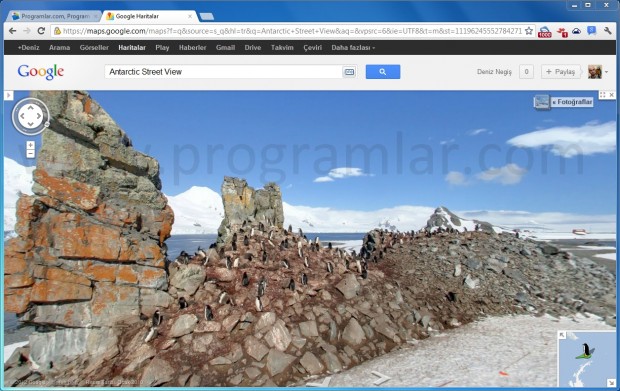 Google Haritalar, Antartika da